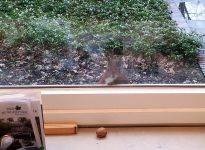 Die Bürgerparkverwaltung ist für Besucher geschlossen