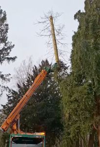 Park- und Baumpflegearbeiten mit dem großen Fällkran.