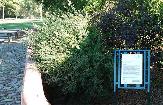 Ehrentafel für Gisela Bentz, der Gründerin des Spieltreffs im Bremer Bürgerpark Ehrentafel für Gisela Bentz, der Gründerin des Spieltreffs im Bremer Bürgerpark