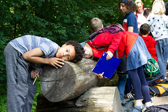 Baumtelefon am Naturlern- und Erlebnispfad Baumtelefon am Naturlern- und Erlebnispfad
