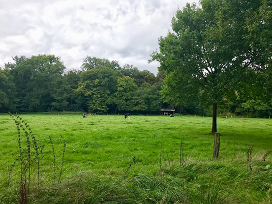 Die Kuhweide vor der Meierei Die Kuhweide vor der Meierei